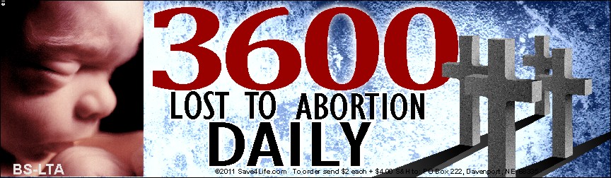 3600 Lost To Abortion Daily 3.5x12 Bumper Sticker